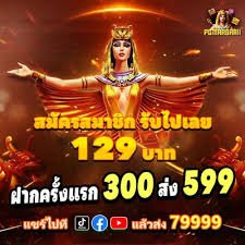 shbet999